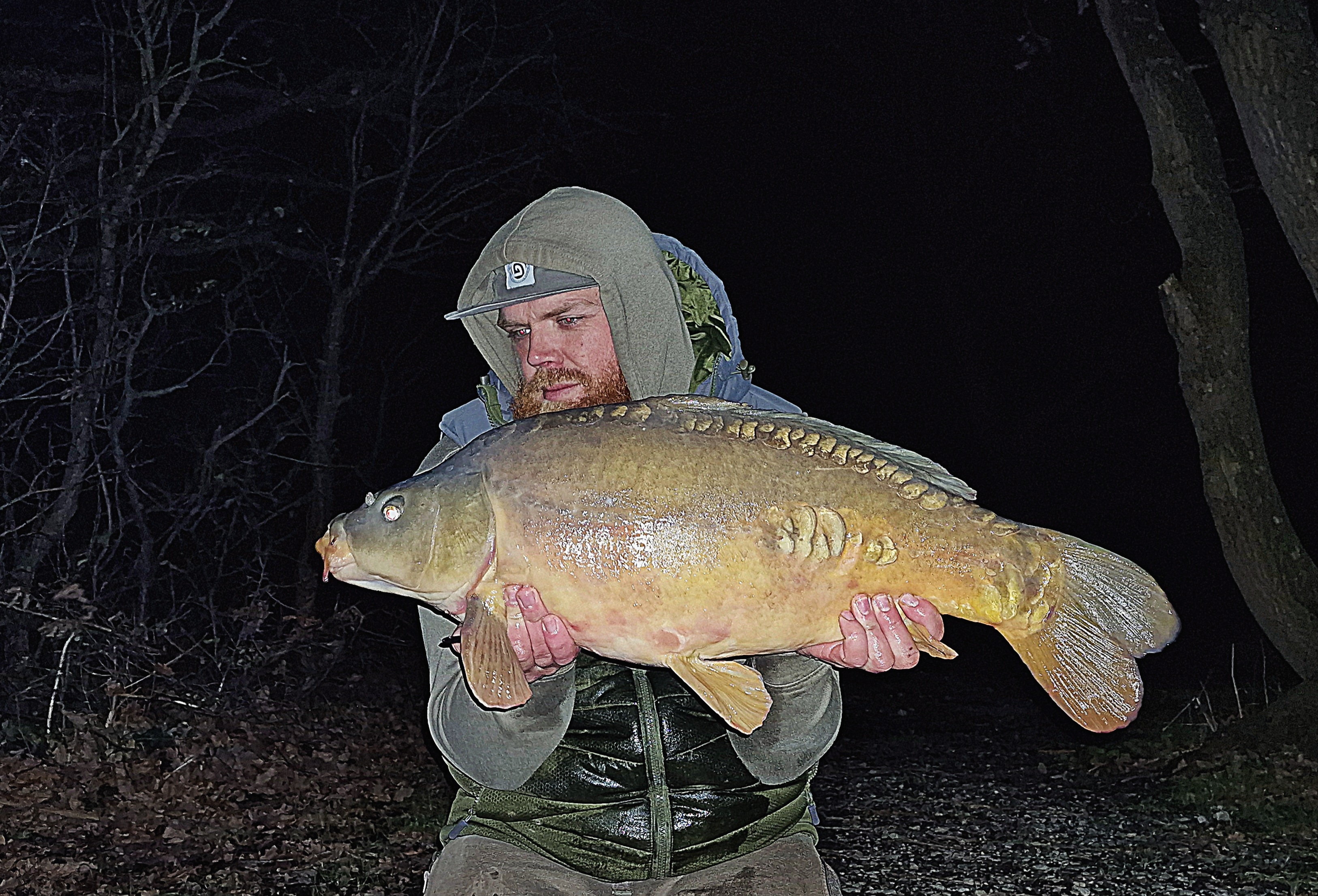 Mirror carp | Total Carp